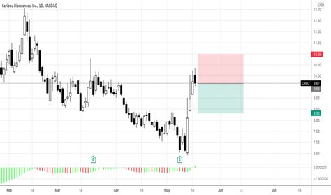 crbu stock price